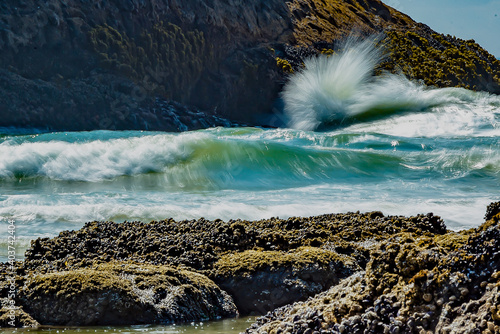 Heceta Head -Oregon coast photo