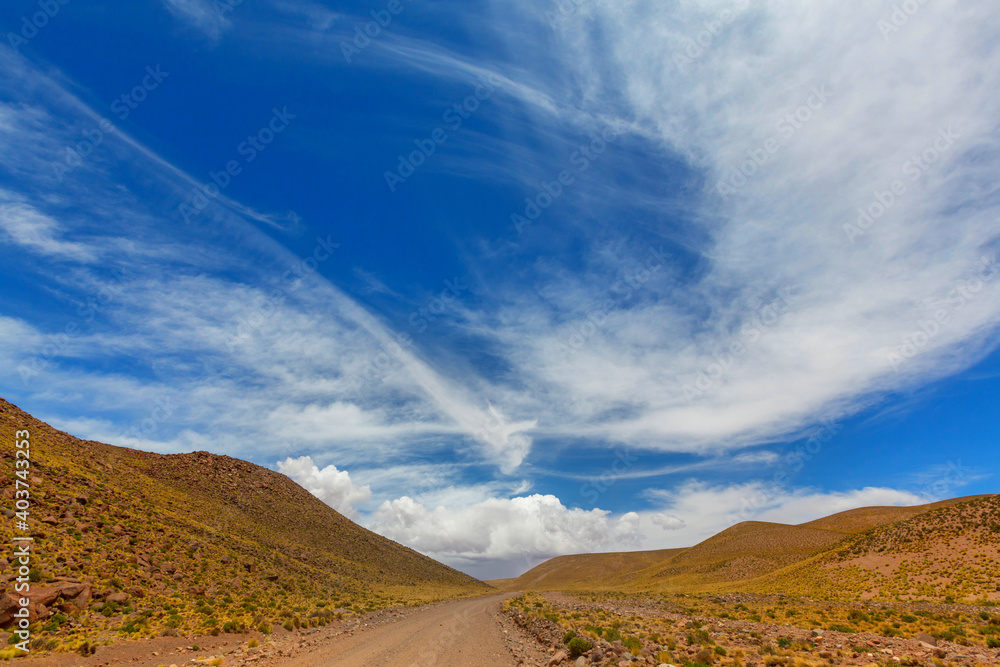 Obraz premium Road in prairie