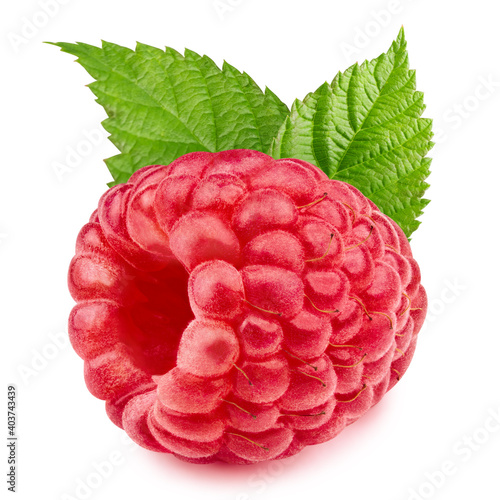 One raspberries isolated on white background close up. Raspberries Clipping Path. Mint Raspberries macro studio photo