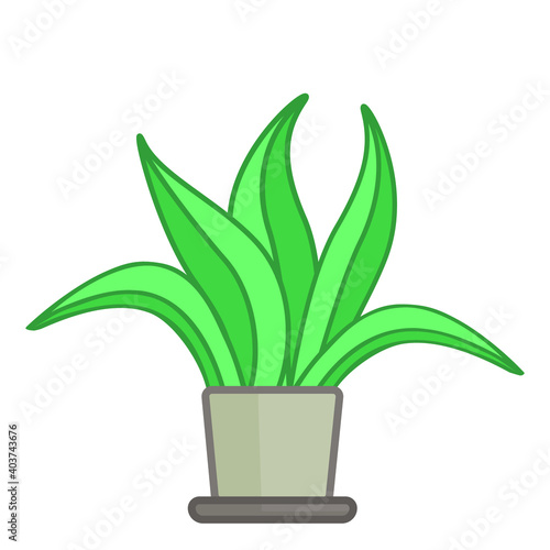 Green vector aloe vera houseplant in a brown pot. isolated on white background.