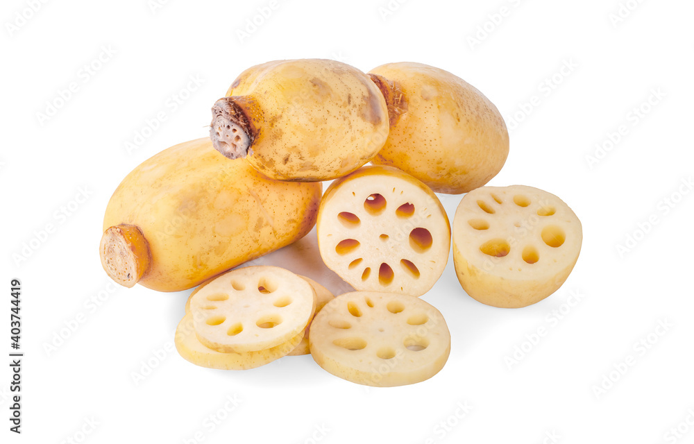 Lotus root isolated on the white background Lotus root isolated on the white background