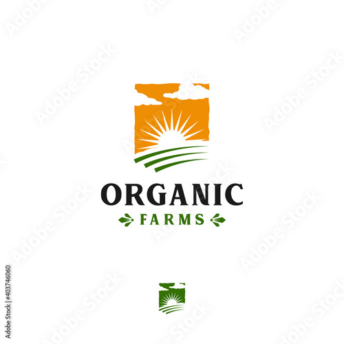 Agriculture business logo modern design field illustration vector graphic, farmland, crop field, sunrise, sunset, sky, and cloud.