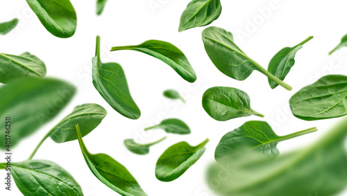 Green spinach leaves levitate on a white background