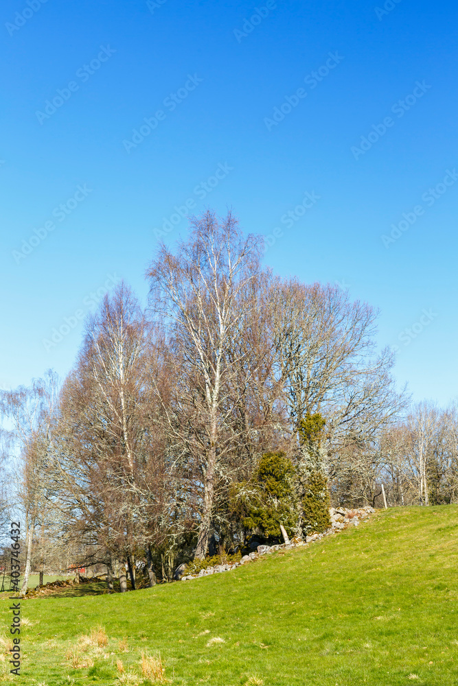 Rural landscape view at spring