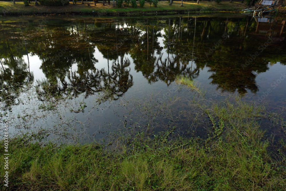 Many trees in the park reflected in the lake. Many trees in the park reflected in the lake.