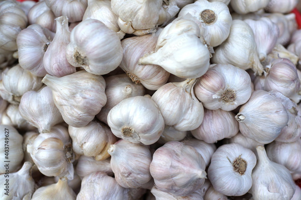 Whole fresh garlic selling in the farmer market stall. Whole fresh garlic selling in the farmer market stall.