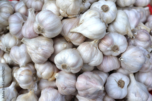 Whole fresh garlic selling in the farmer market stall.