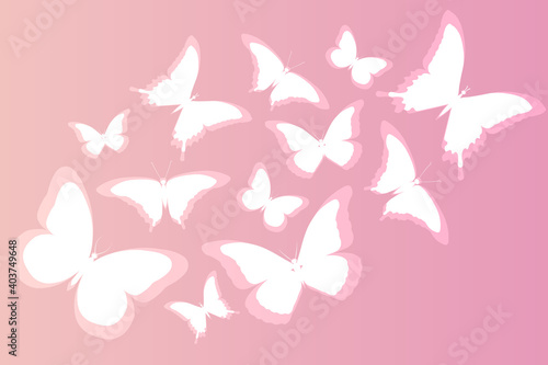 Background with 4 kinds of abstract butterflies. Vector illustration