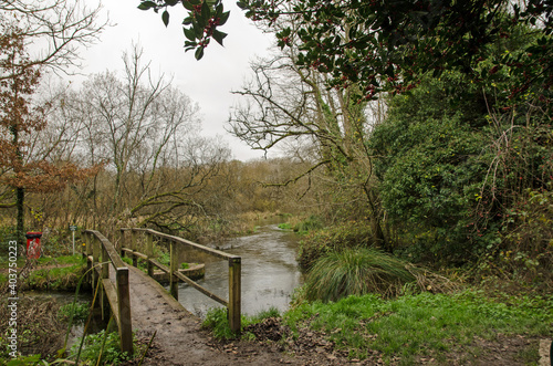 Footbridge over a bend in the River Itchen, Hampshire