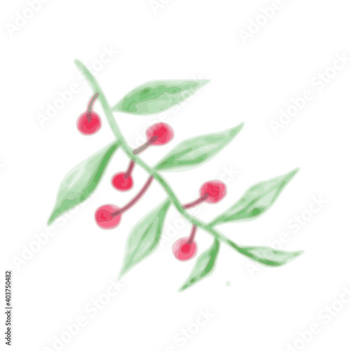 branch of red cherry