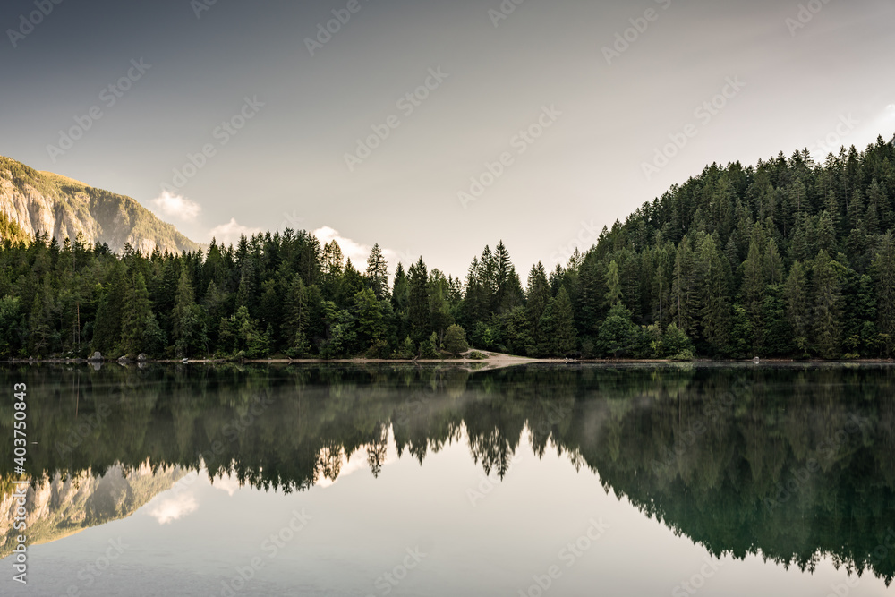 meravigliosa vista dei riflessi del cielo e degli alberi nel lago di tovel durante l'alba meravigliosa vista dei riflessi del cielo e degli alberi nel lago di tovel durante l'alba