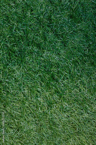 artificial green polyethylene background in the form of grass, top view