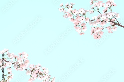 満開の桜の花 春 3DCG
