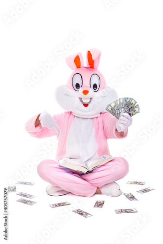 Easter bunny or rabbit with fan of dollars, celebrates easter. Rich lucky man holds money hundred dollar bills © HLEB