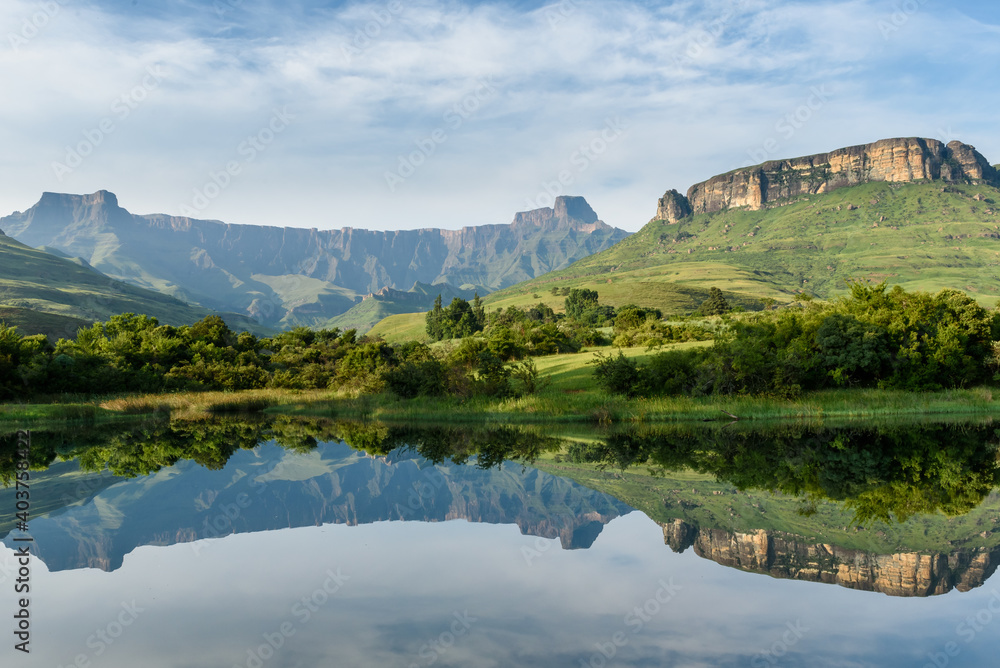 Mirror like reflection in water of the Amphitheater Drakenberg Mountains in the Royal Natal Nature Reserve in South Africa during green summer.