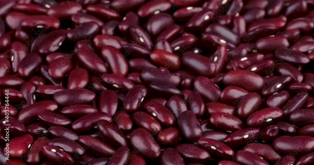 Track shot of raw red kidney beans texture pattern for any design concept Track shot of raw red kidney beans texture pattern for any design concept
