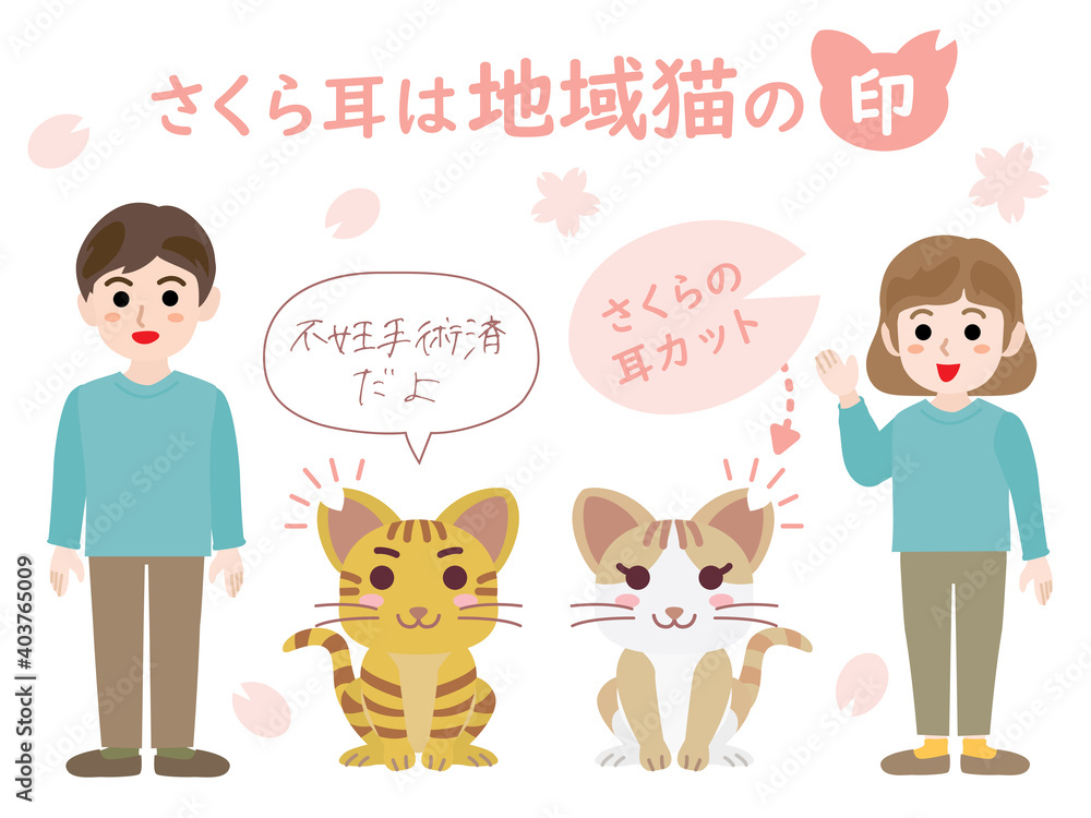 Fototapeta premium さくら耳は地域猫の印