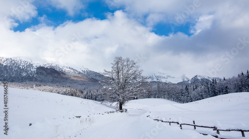 Wallpaper Mural snow covered mountains Torontodigital.ca