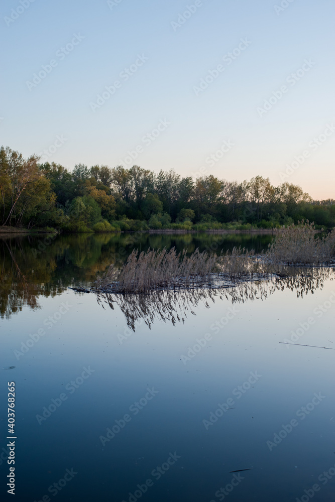 sandy birch of the Ural river in the sunset