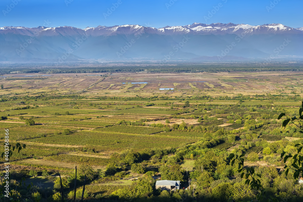 View of Alazani valley, Kakheti, Georgia