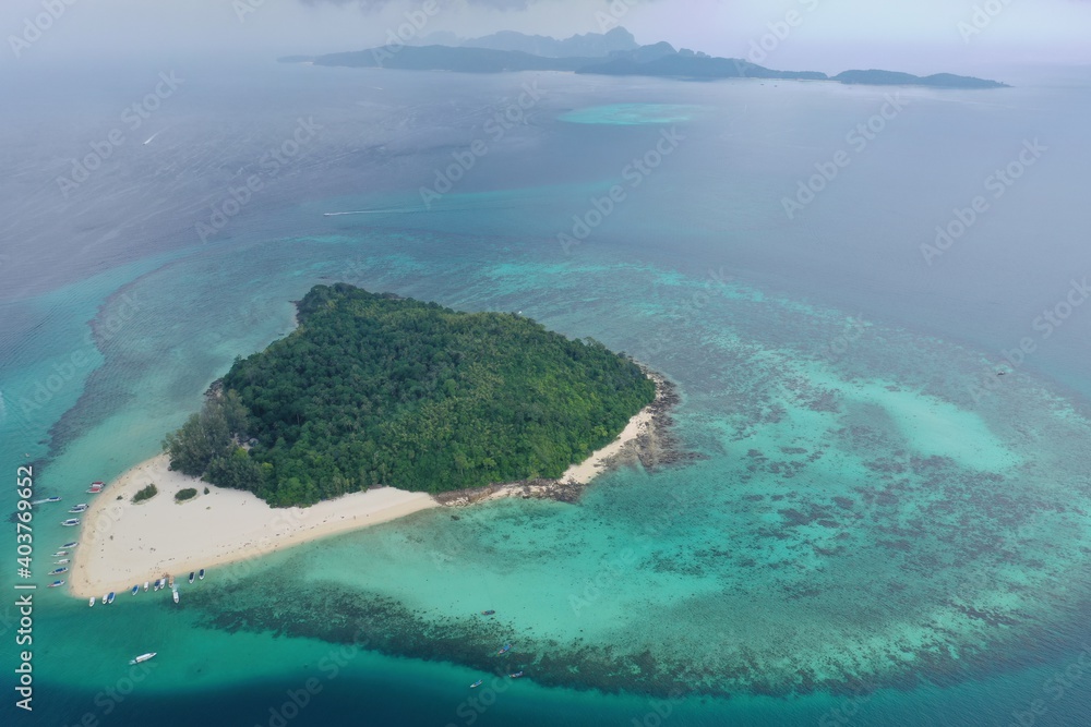 Bamboo island