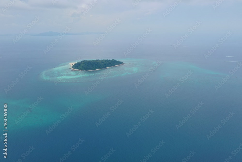 Bamboo island