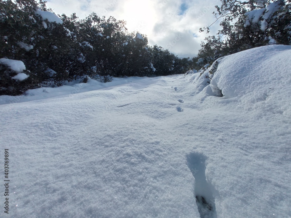 track in winter track in winter