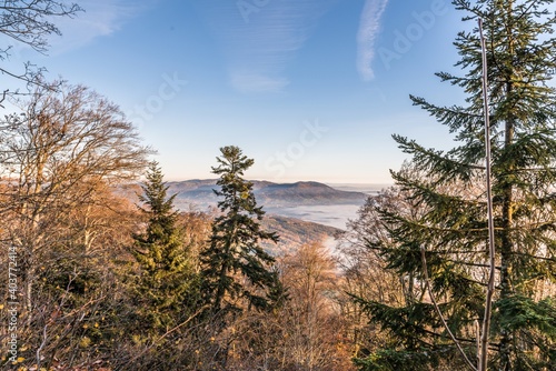 Panorama Landschaft und Sonnenuntergang mit Ausblick Blick zu den Bergen der deutschen Alpen mit Nebelmeer beim Ruselabsatz nähe Koenigsstein im bayerischen Wald, Deutschland photo