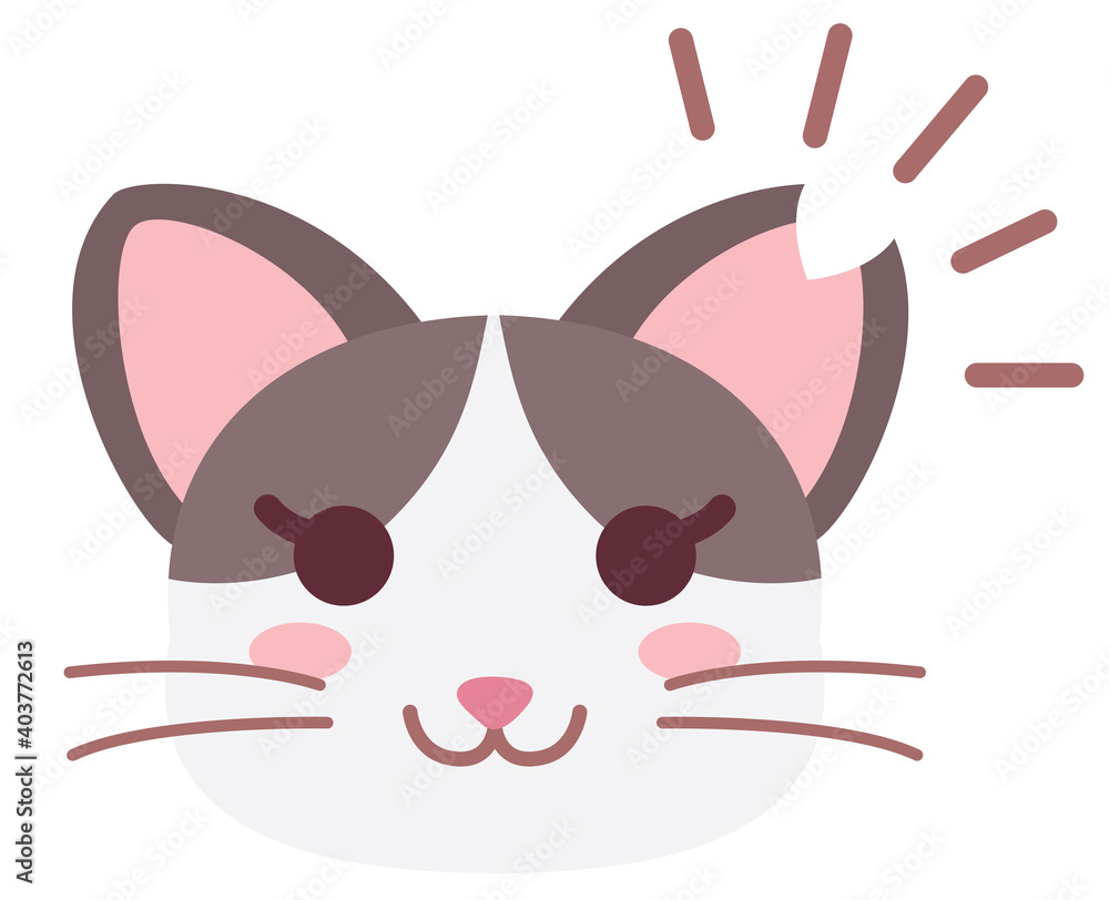 耳カットした地域猫の女の子 耳カットした地域猫の女の子