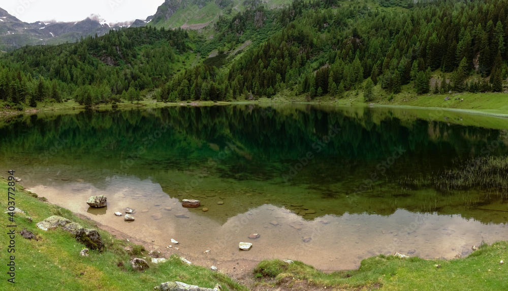 wonderful green reflection from the trees in a mountain lake panorama wonderful green reflection from the trees in a mountain lake panorama