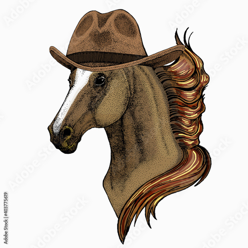 Horse head, horse portrait. Animal face for logo, emblem, tee shirt.