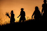 Silhouettes of People picking flowers during midsummer soltice celebraton against the background of sunset