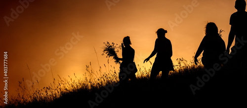 Konstfotografi Silhouettes of People picking flowers during midsummer soltice celebraton agains