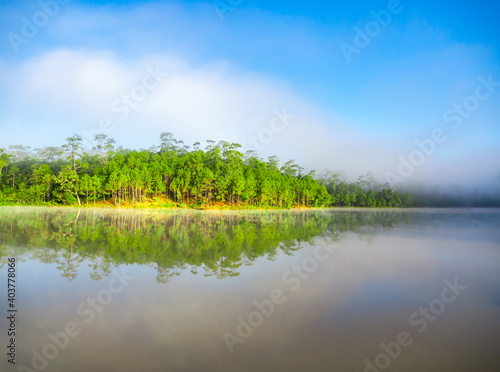 Fototapeta Naklejka Na Ścianę i Meble -  Beautiful view in the abundant natural water sources with green trees in the forest reflecting the water. And there is a mist floating on the water surface in a bright morning with a blue sky.