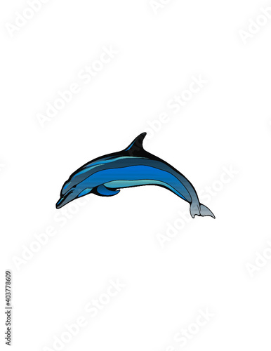 illustration of a dolphin