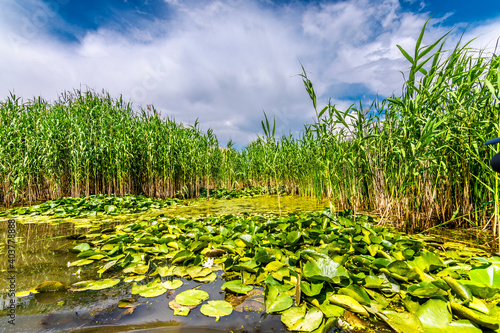 Eber Lake natural park  in Turkey photo