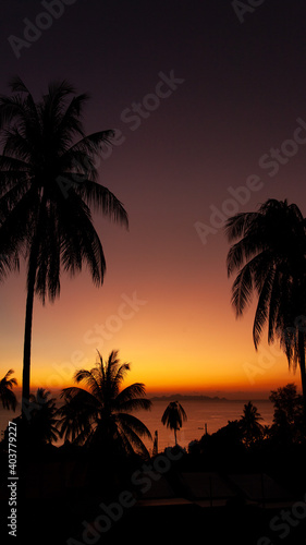 palm trees at sunset, Thailand Koh Samui