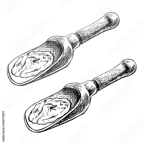 Chilli. Chilli whole, half and slice. Vector vintage hatching