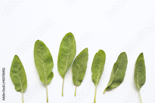 Leaves medicinal herb Salvia officinalis isolated on white background. The plant is used not only as a medicinal herb but also as a spice in the concept of healthy nutrition.