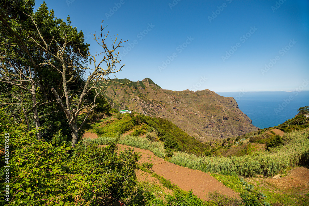 Rural landscape of Tenerife Canary Islands Spain