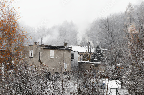 View of a winter landscape with houses with smoking chimneys surrouded by a forest