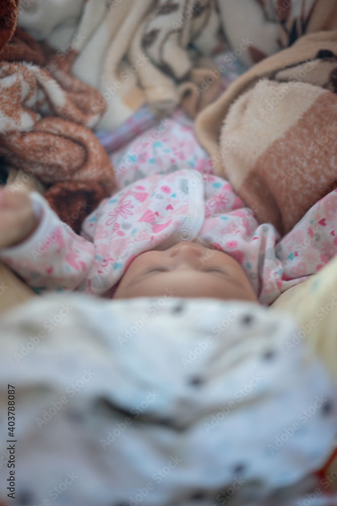 3 Month Old Baby Girl Sleeping in a Hammick 3 Month Old Baby Girl Sleeping in a Hammick
