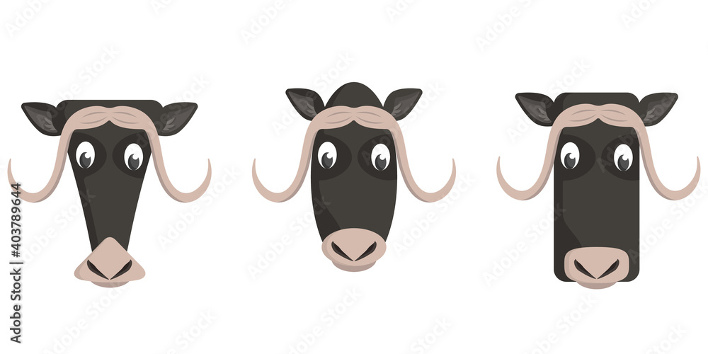 Set of cartoon muskoxen. Different shapes of animal heads. Set of cartoon muskoxen. Different shapes of animal heads.