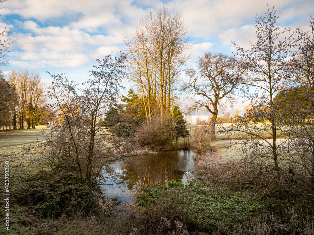 A rural pond in English countryside at Whitchurch in Shropshire, UK. A rural pond in English countryside at Whitchurch in Shropshire, UK.