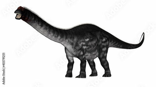 Apatosaurus dinosaur walking isolated in white background - 3D render © Elenarts