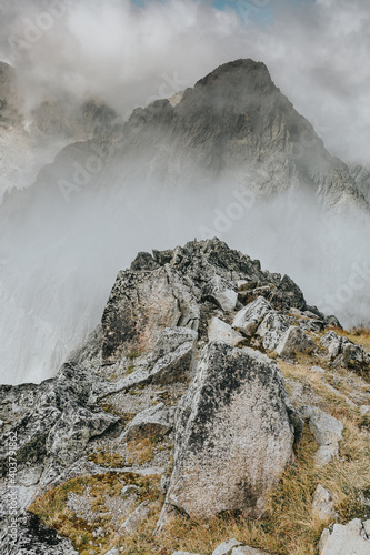 Fototapeta Naklejka Na Ścianę i Meble -  landscape in the mountains