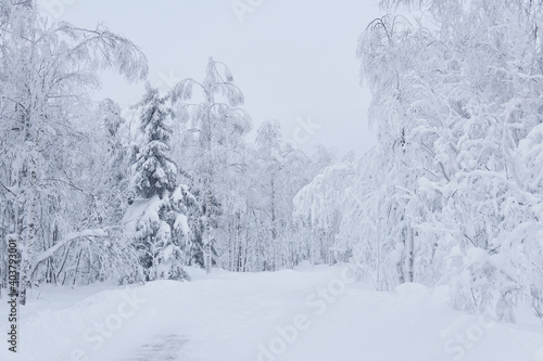 winter snowy road among frozen trees in a frosty landscape