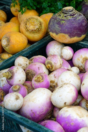 Colorful purple and orange turnip vegetable at a winter farmers market