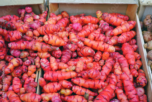 Colorful red and yellow roots of oca tuber from Peru (Oxalis tuberosa) at a French farmers market photo