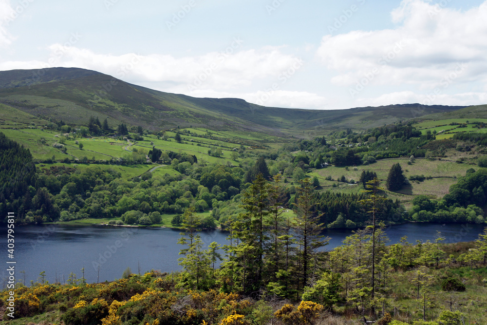Midsummer on the shores of Lough Dan Lake.Wicklow Mountains.Ireland.